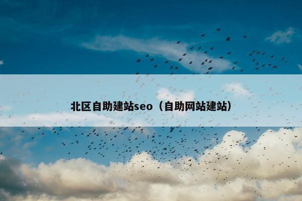 北区自助建站seo（自助网站建站）-第1张图片-冷动云