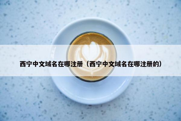 西宁中文域名在哪注册（西宁中文域名在哪注册的）-第1张图片-冷动云