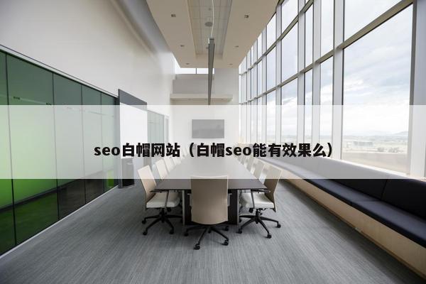 seo白帽网站（白帽seo能有效果么）-第1张图片-冷动云