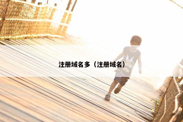 注册域名多（注册域名）-第1张图片-冷动云