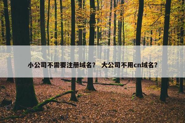 小公司不需要注册域名？ 大公司不用cn域名？-第1张图片-冷动云