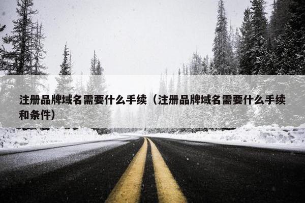 注册品牌域名需要什么手续（注册品牌域名需要什么手续和条件）-第1张图片-冷动云