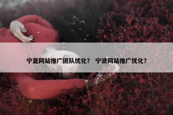 宁夏网站推广团队优化？ 宁波网站推广优化？-第1张图片-冷动云