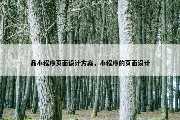 品小程序页面设计方案，小程序的页面设计-第1张图片-冷动云