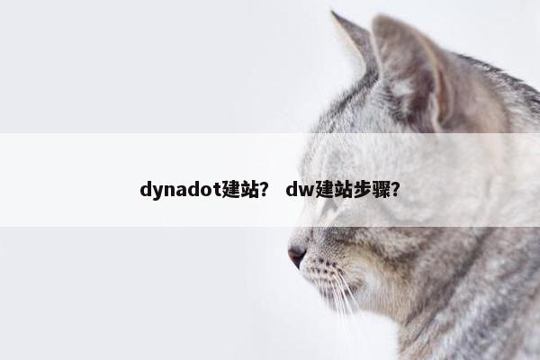 dynadot建站？ dw建站步骤？-第1张图片-冷动云