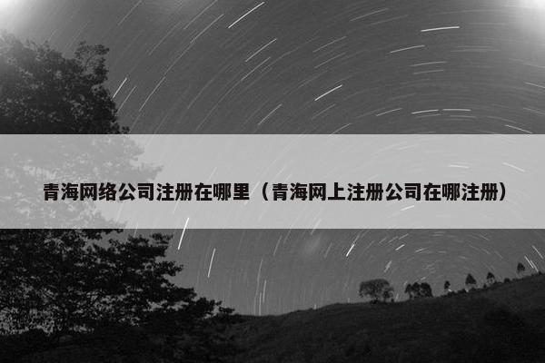 青海网络公司注册在哪里（青海网上注册公司在哪注册）-第1张图片-冷动云
