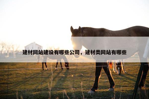 建材网站建设有哪些公司，建材类网站有哪些-第1张图片-冷动云