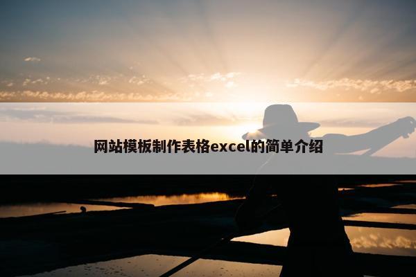 网站模板制作表格excel的简单介绍-第1张图片-冷动云