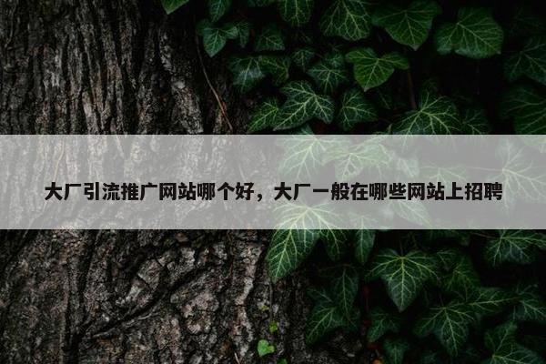 大厂引流推广网站哪个好，大厂一般在哪些网站上招聘-第1张图片-冷动云
