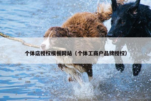 个体店授权模板网站（个体工商户品牌授权）-第1张图片-冷动云