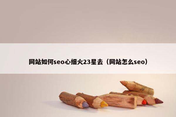 网站如何seo心细火23星去（网站怎么seo）-第1张图片-冷动云
