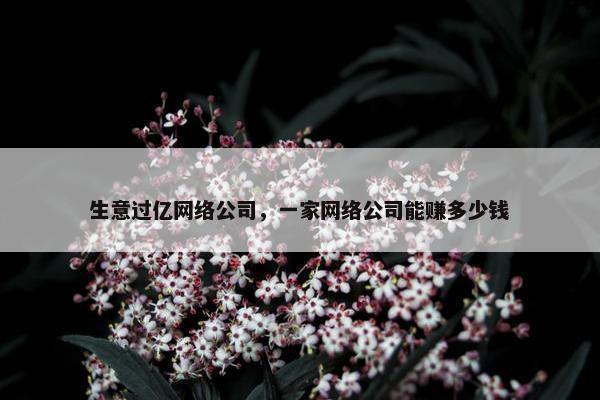 生意过亿网络公司，一家网络公司能赚多少钱-第1张图片-冷动云