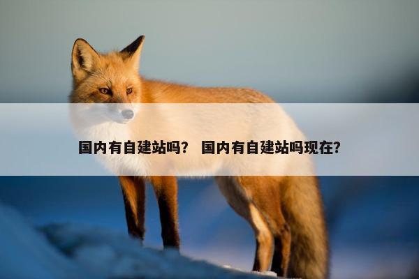 国内有自建站吗？ 国内有自建站吗现在？-第1张图片-冷动云