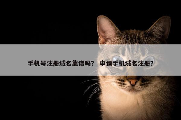 手机号注册域名靠谱吗？ 申请手机域名注册？-第1张图片-冷动云