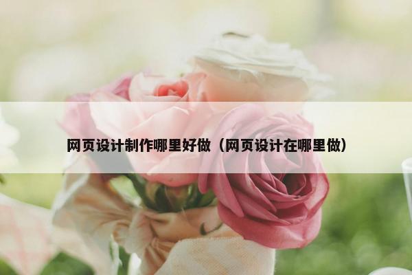 网页设计制作哪里好做（网页设计在哪里做）-第1张图片-冷动云