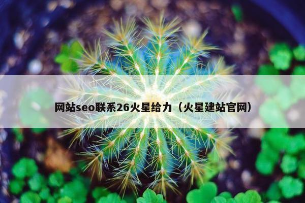 网站seo联系26火星给力（火星建站官网）-第1张图片-冷动云