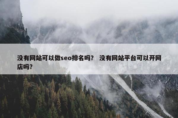 没有网站可以做seo排名吗？ 没有网站平台可以开网店吗？-第1张图片-冷动云