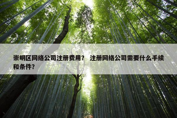 崇明区网络公司注册费用？ 注册网络公司需要什么手续和条件？-第1张图片-冷动云