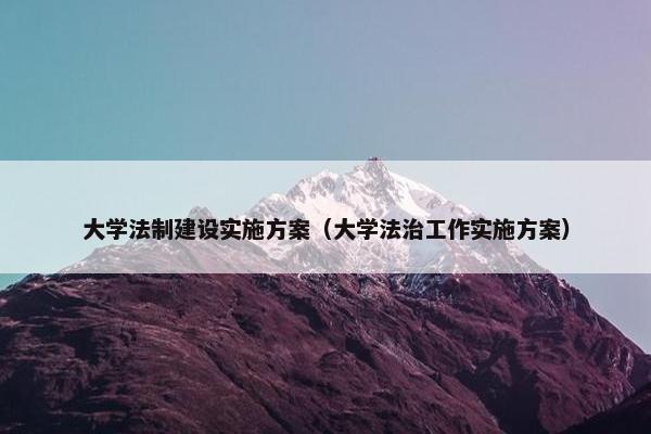 大学法制建设实施方案（大学法治工作实施方案）-第1张图片-冷动云