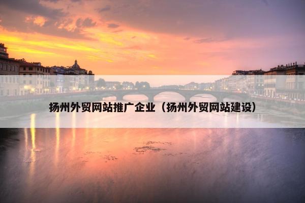 扬州外贸网站推广企业（扬州外贸网站建设）-第1张图片-冷动云
