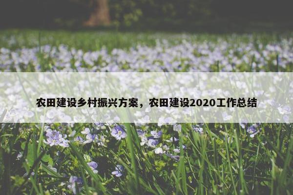 农田建设乡村振兴方案，农田建设2020工作总结-第1张图片-冷动云