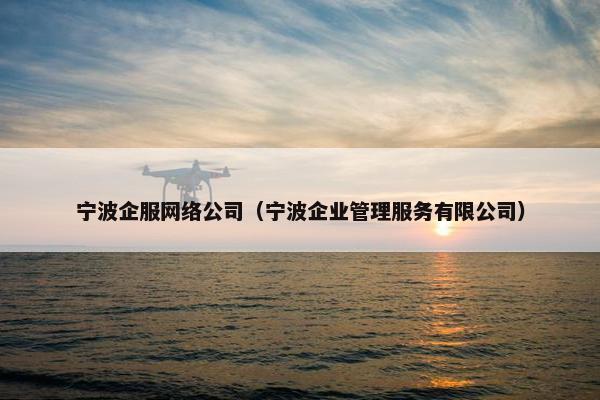 宁波企服网络公司（宁波企业管理服务有限公司）-第1张图片-冷动云