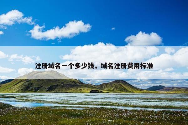 注册域名一个多少钱，域名注册费用标准-第1张图片-冷动云