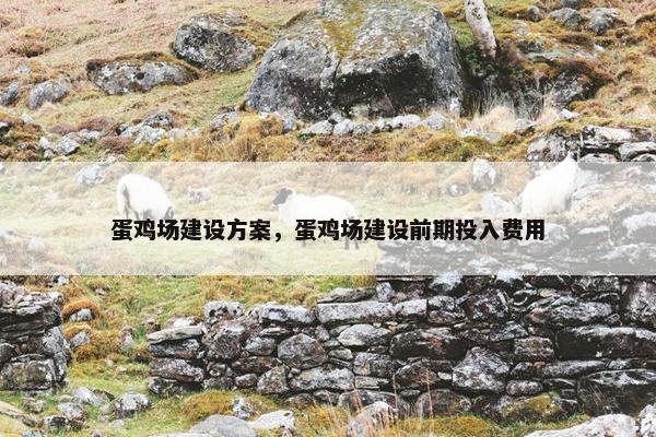 蛋鸡场建设方案，蛋鸡场建设前期投入费用-第1张图片-冷动云