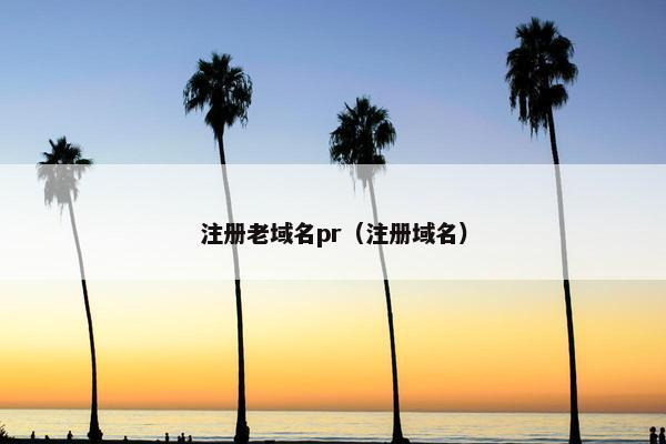 注册老域名pr（注册域名）-第1张图片-冷动云