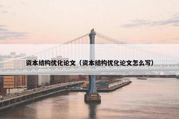 资本结构优化论文（资本结构优化论文怎么写）-第1张图片-冷动云