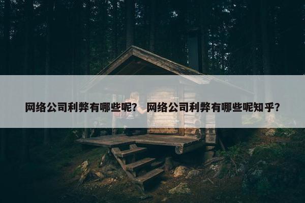 网络公司利弊有哪些呢？ 网络公司利弊有哪些呢知乎？-第1张图片-冷动云