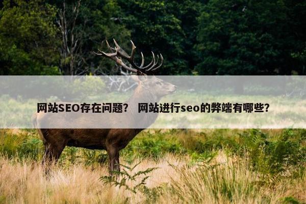 网站SEO存在问题？ 网站进行seo的弊端有哪些？-第1张图片-冷动云