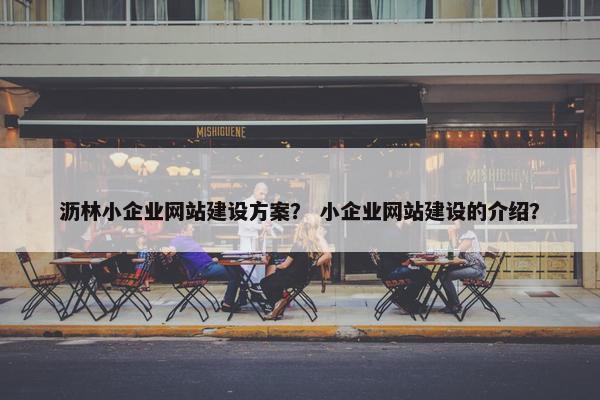 沥林小企业网站建设方案？ 小企业网站建设的介绍？-第1张图片-冷动云