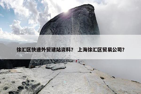 徐汇区快速外贸建站资料？ 上海徐汇区贸易公司？-第1张图片-冷动云