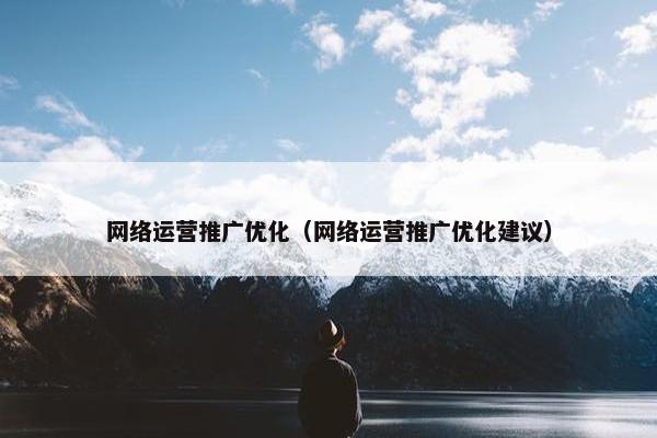 网络运营推广优化（网络运营推广优化建议）-第1张图片-冷动云
