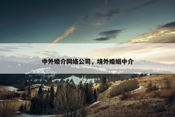 中外婚介网络公司，境外婚姻中介-第1张图片-冷动云