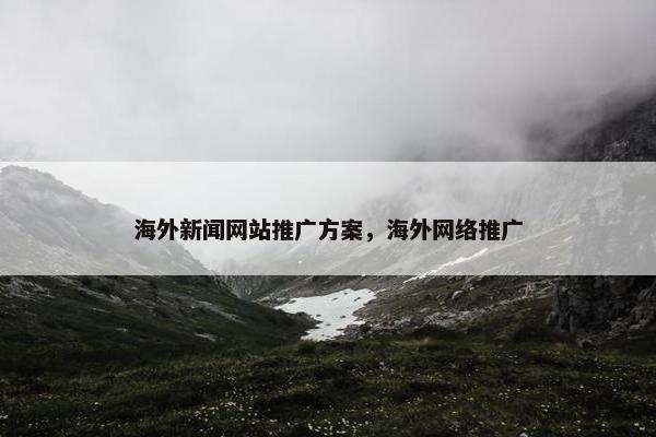 海外新闻网站推广方案，海外网络推广-第1张图片-冷动云