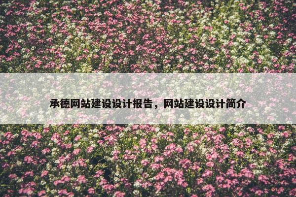 承德网站建设设计报告，网站建设设计简介-第1张图片-冷动云