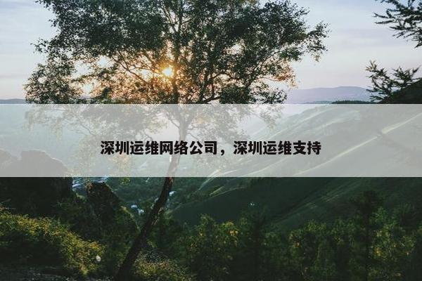 深圳运维网络公司，深圳运维支持-第1张图片-冷动云