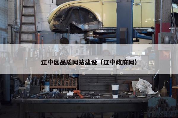 辽中区品质网站建设（辽中政府网）-第1张图片-冷动云