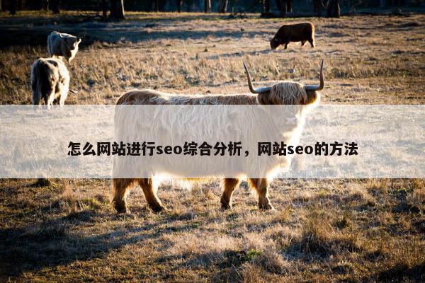 怎么网站进行seo综合分析，网站seo的方法-第1张图片-冷动云