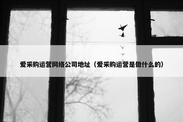爱采购运营网络公司地址（爱采购运营是做什么的）-第1张图片-冷动云