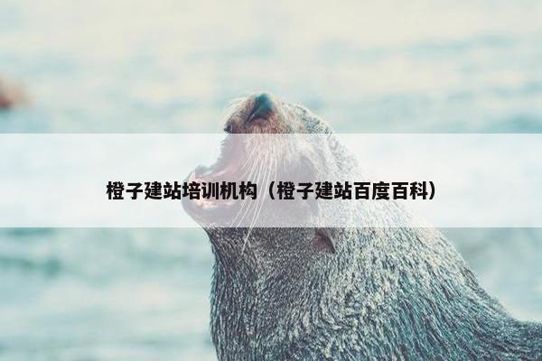 橙子建站培训机构（橙子建站百度百科）-第1张图片-冷动云