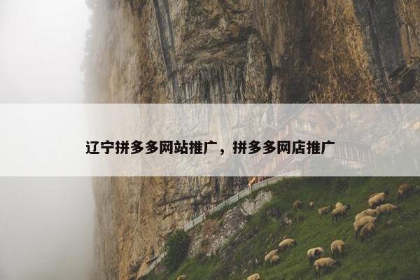 辽宁拼多多网站推广，拼多多网店推广-第1张图片-冷动云
