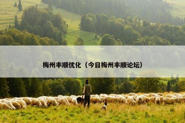 梅州丰顺优化（今日梅州丰顺论坛）-第1张图片-冷动云