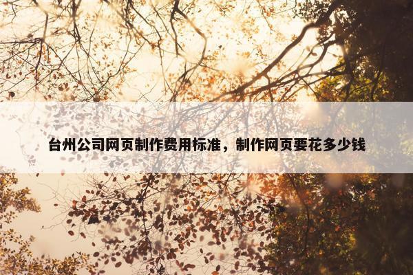 台州公司网页制作费用标准，制作网页要花多少钱-第1张图片-冷动云