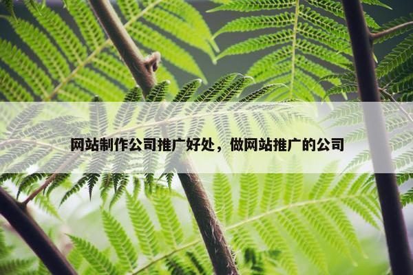 网站制作公司推广好处，做网站推广的公司-第1张图片-冷动云