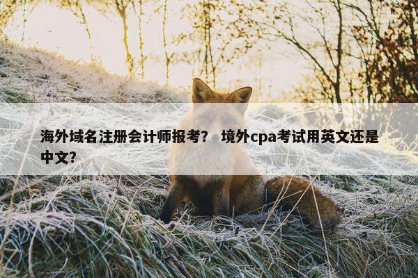 海外域名注册会计师报考？ 境外cpa考试用英文还是中文？-第1张图片-冷动云
