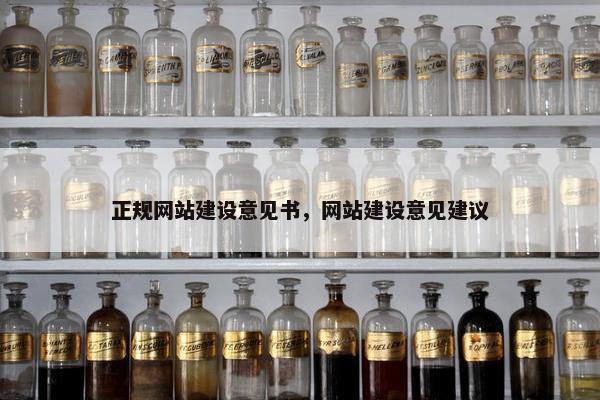 正规网站建设意见书，网站建设意见建议-第1张图片-冷动云
