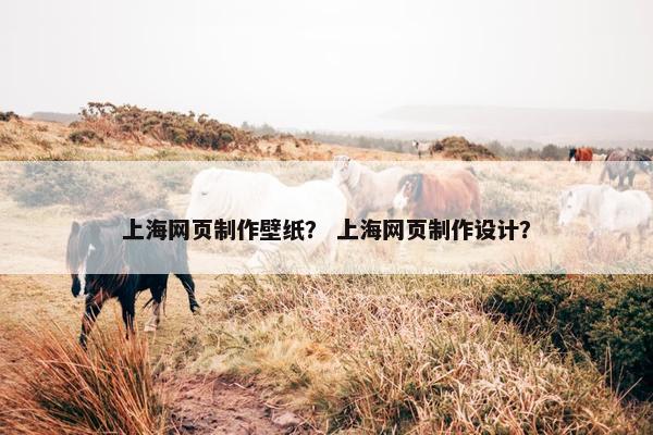 上海网页制作壁纸？ 上海网页制作设计？-第1张图片-冷动云